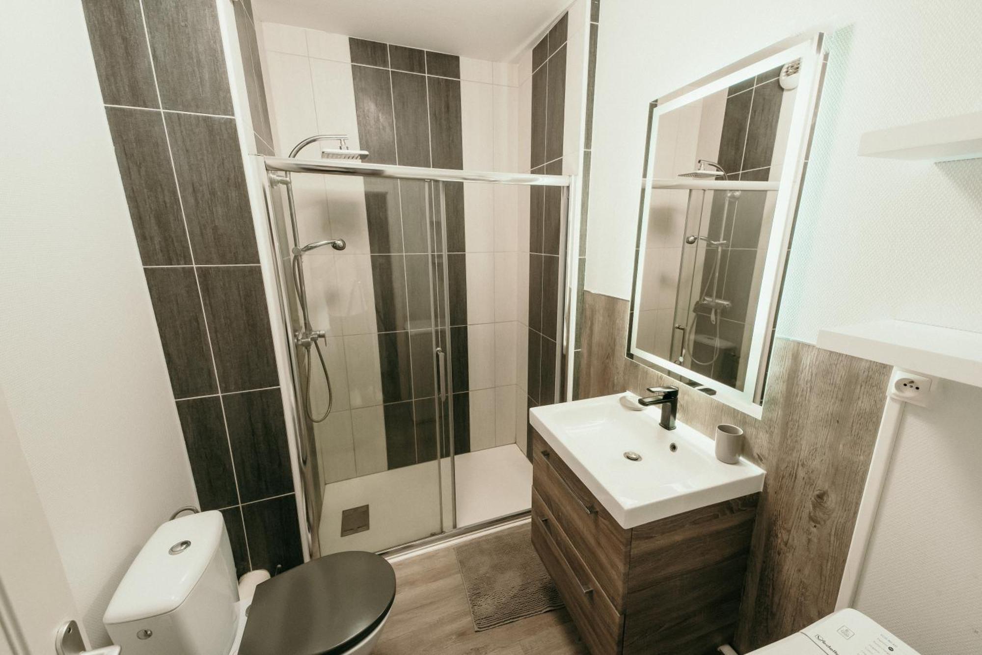 Appartement D'Alexandre Hyper Centre-Ville Шарлевіль-Мезьєр Екстер'єр фото